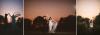 MItchell-Park-Domes-Wedding-30