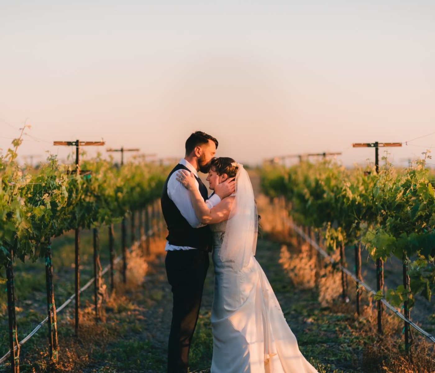 A beautiful vineyard wedding