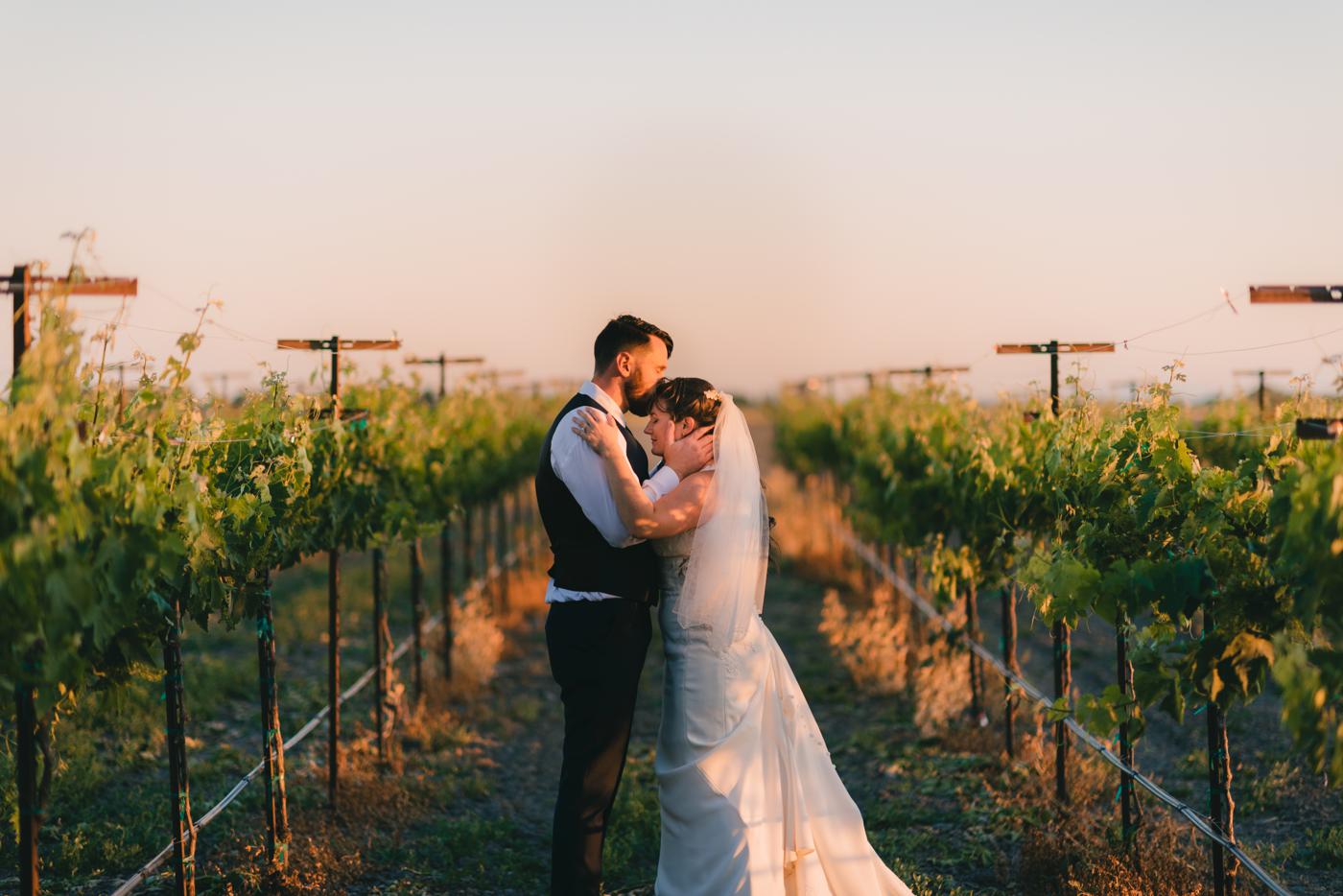 A beautiful vineyard wedding